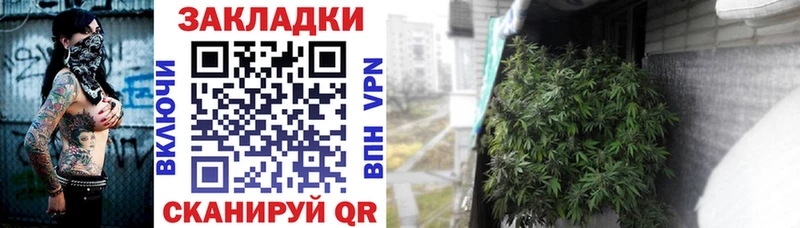Где найти наркотики Белгород Гашиш omg зеркало МЕФ Галлюциногенные грибы Марихуана СК