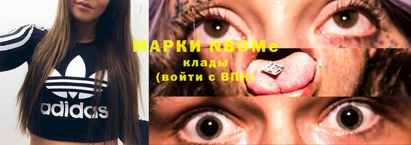 гашик Бородино