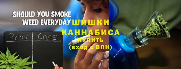 гашик Бородино