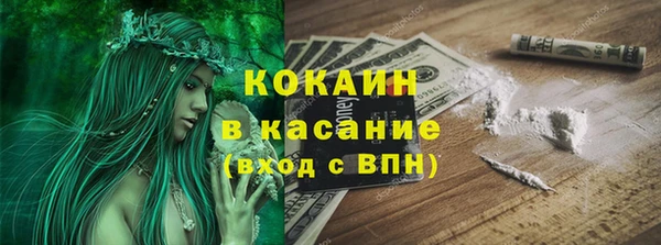 прущие грибы Бугульма
