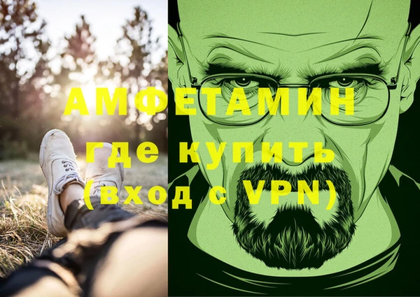 прущие грибы Бугульма